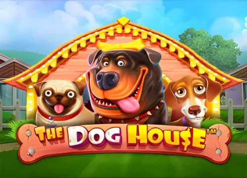 the dog house mrjackbet jogo